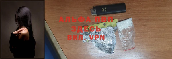 спиды Верея