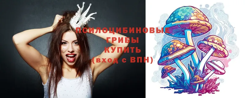 купить   Нолинск  Псилоцибиновые грибы Magic Shrooms 